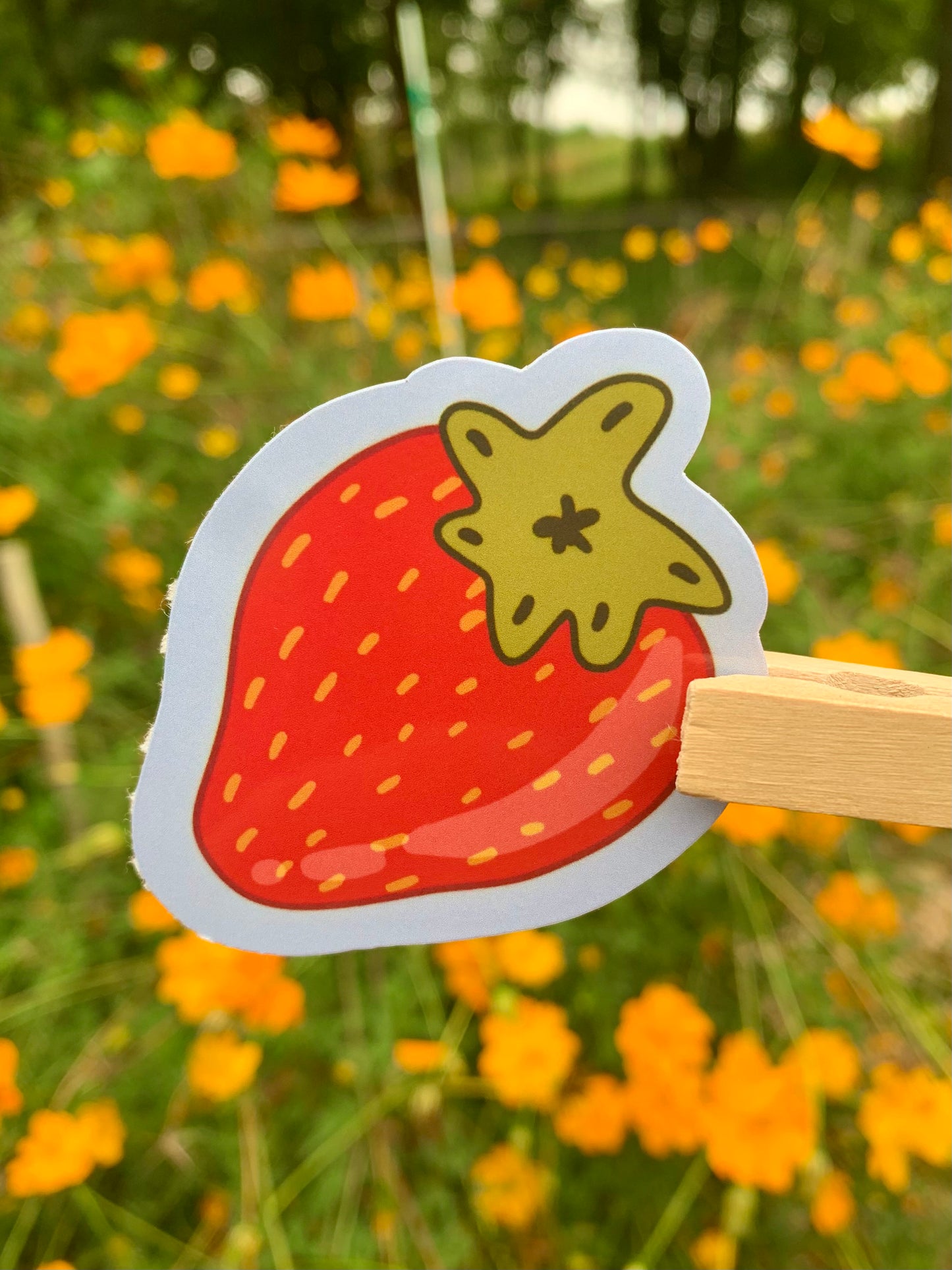 Fruit Sticker Bundle