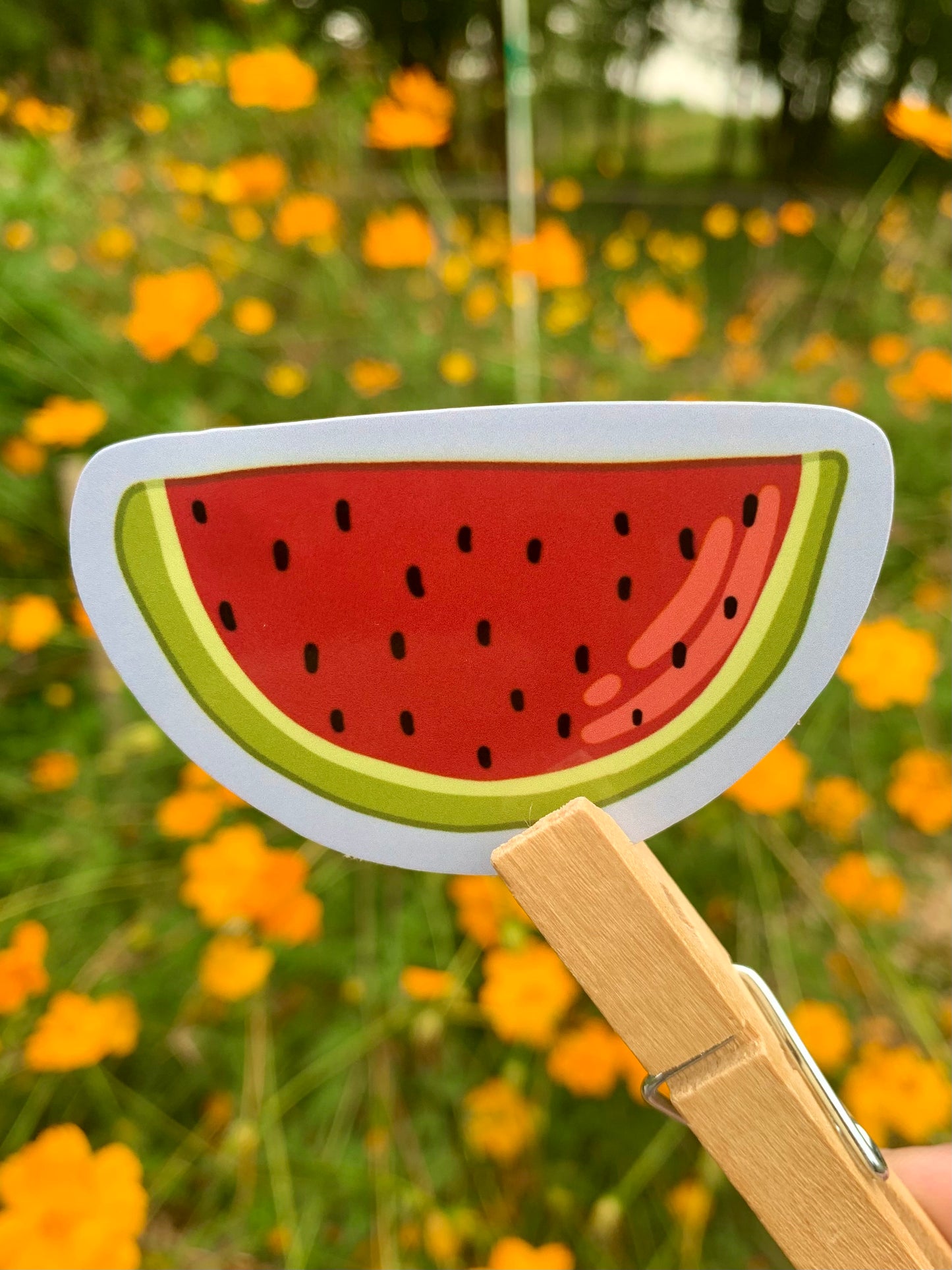 Fruit Sticker Bundle
