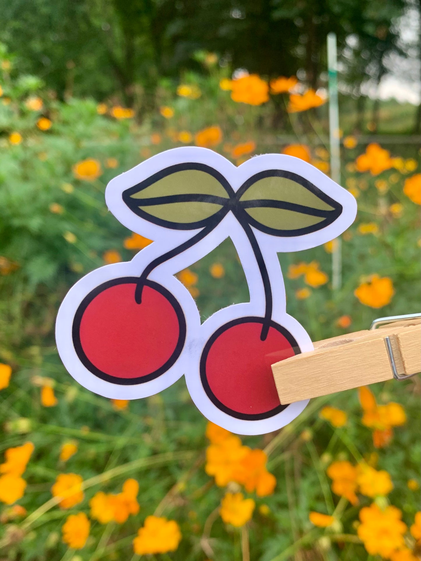 Cherries Sticker