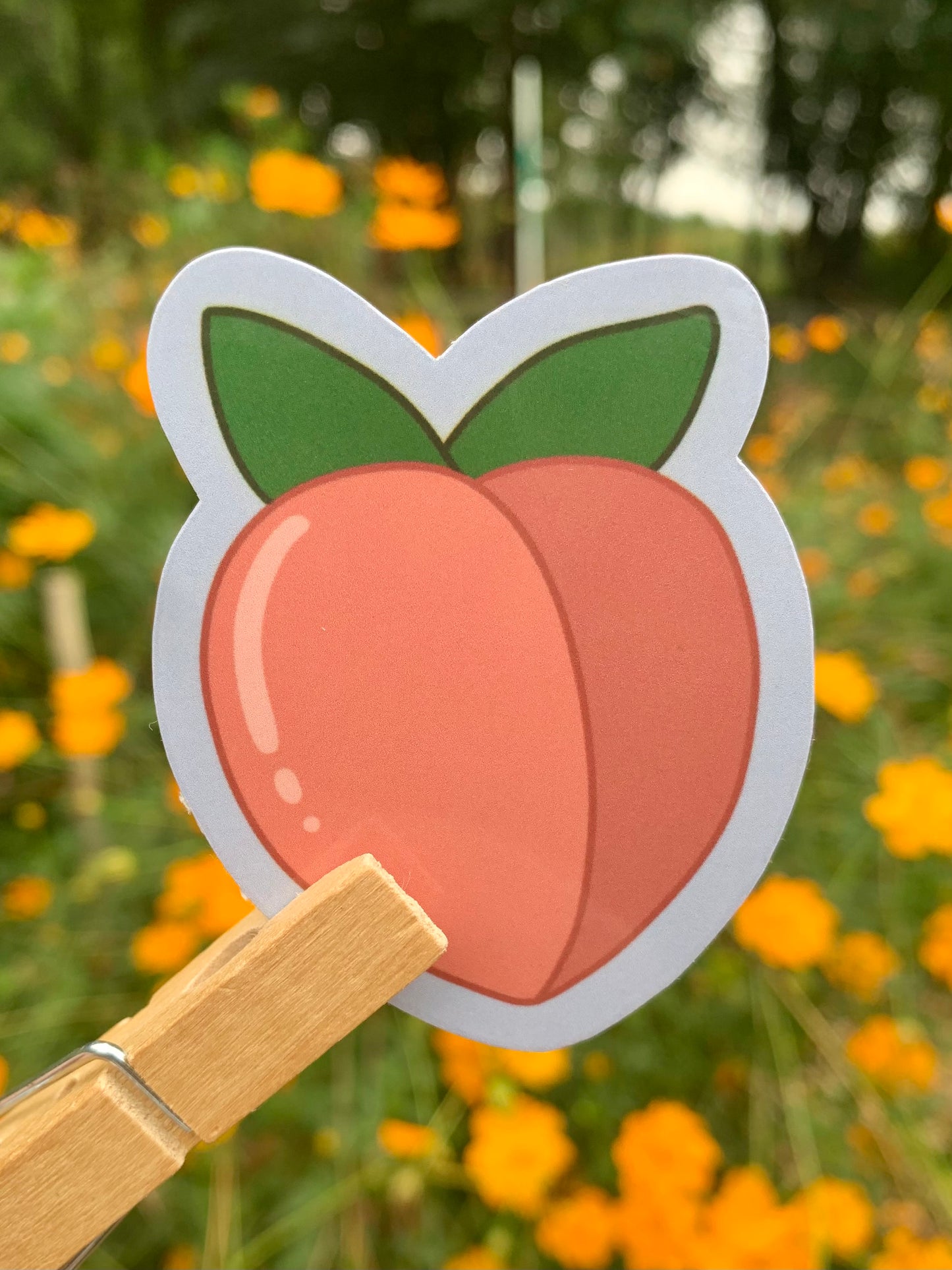Fruit Sticker Bundle