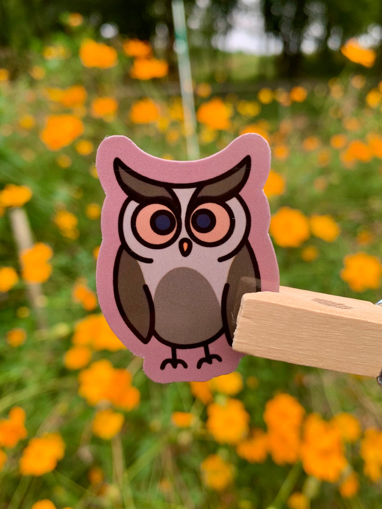 Woodland Animals Sticker Bundle
